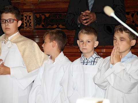 Zdjęcie 31 z 88