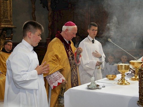 Zdjęcie 34 z 88