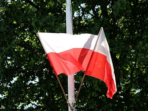 Zdjęcie 78 z 105