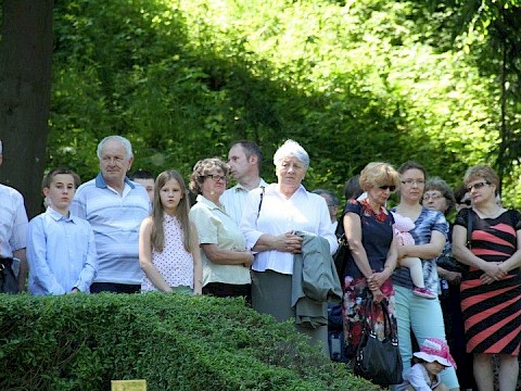 Zdjęcie 88 z 105