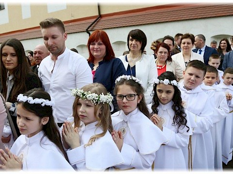 Zdjęcie 7 z 91