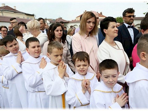 Zdjęcie 11 z 91