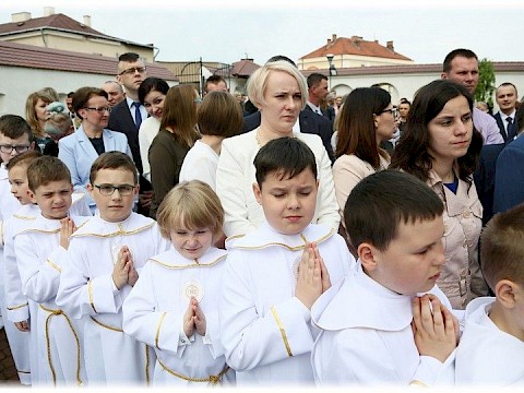 Zdjęcie 12 z 91