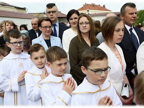 Zdjęcie 17 z 91