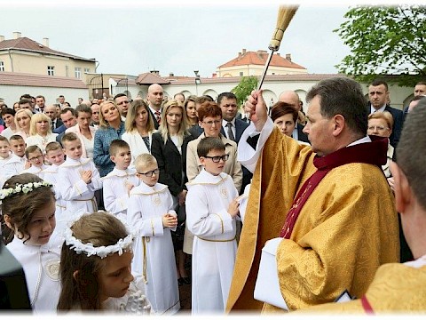 Zdjęcie 15 z 91