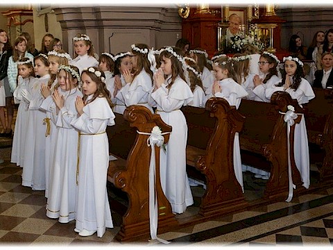 Zdjęcie 13 z 91