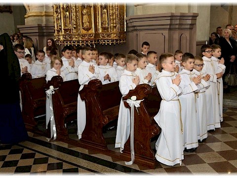 Zdjęcie 18 z 91