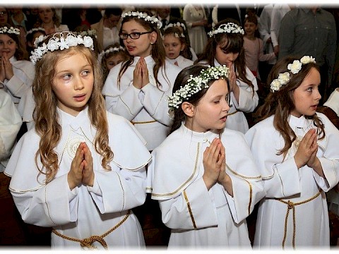 Zdjęcie 19 z 91