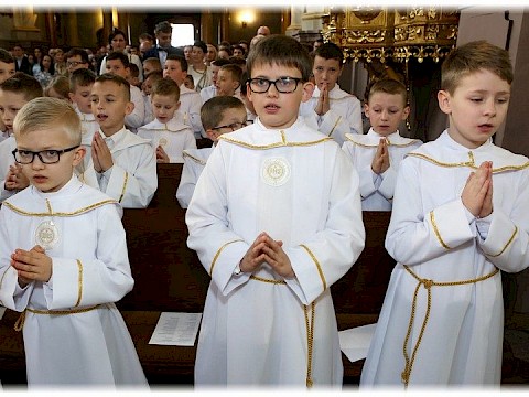 Zdjęcie 20 z 91