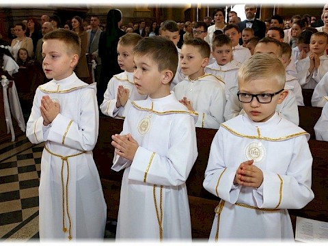 Zdjęcie 21 z 91