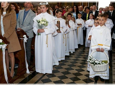 Zdjęcie 24 z 91