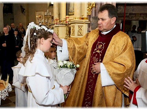 Zdjęcie 23 z 91