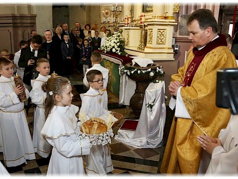 Zdjęcie 29 z 91