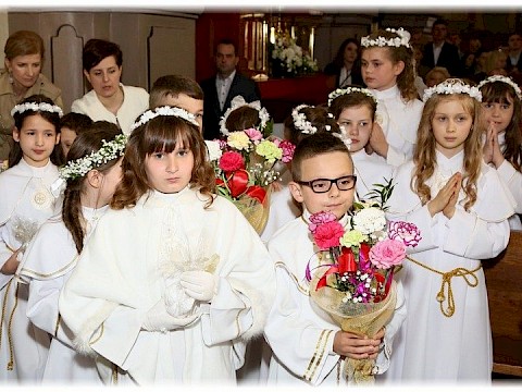 Zdjęcie 41 z 91