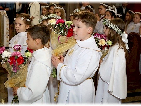 Zdjęcie 38 z 91