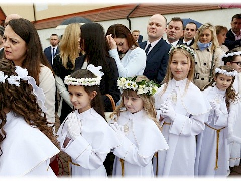 Zdjęcie 52 z 91