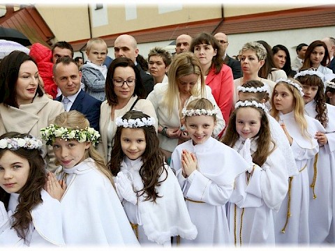 Zdjęcie 51 z 91