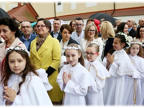 Zdjęcie 50 z 91