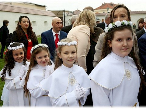Zdjęcie 49 z 91