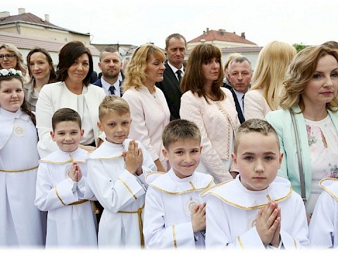 Zdjęcie 48 z 91