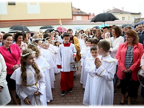 Zdjęcie 63 z 91