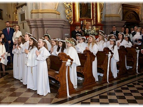 Zdjęcie 59 z 91
