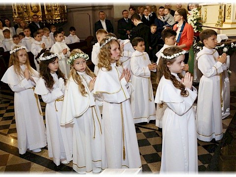 Zdjęcie 61 z 91