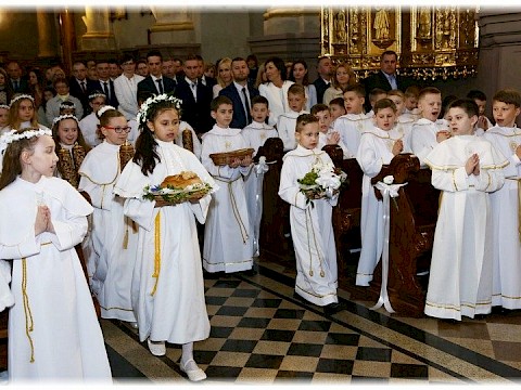 Zdjęcie 67 z 91