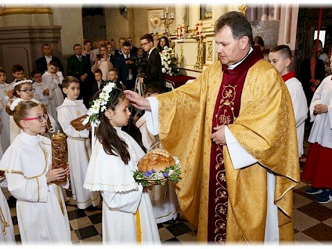 Zdjęcie 72 z 91