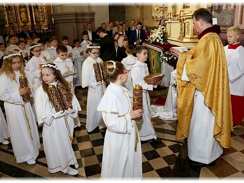 Zdjęcie 77 z 91