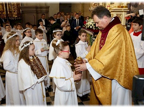 Zdjęcie 76 z 91
