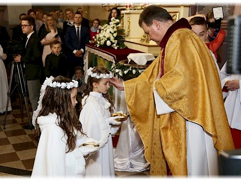 Zdjęcie 74 z 91