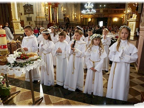 Zdjęcie 81 z 91