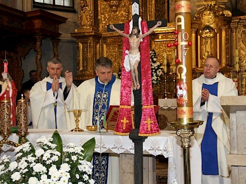 Zdjęcie 31 z 117
