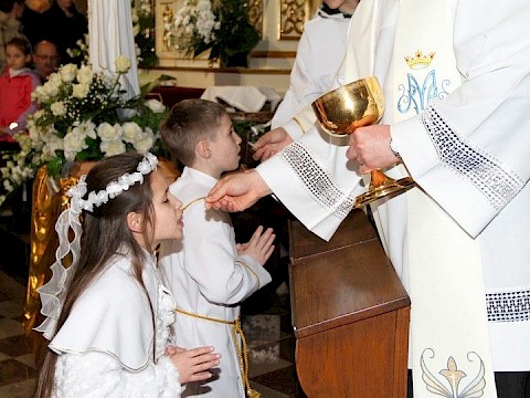 Zdjęcie 42 z 117