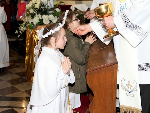 Zdjęcie 46 z 117