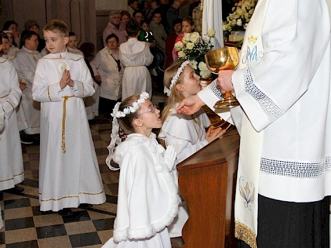 Zdjęcie 45 z 117
