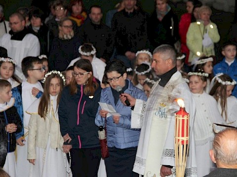 Zdjęcie 83 z 117