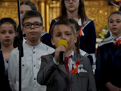 Zdjęcie 48 z 52