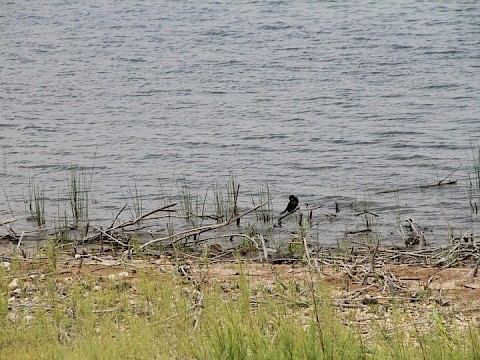 Zdjęcie 78 z 123
