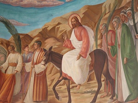 Zdjęcie 22 z 143