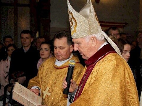 Zdjęcie 2 z 95