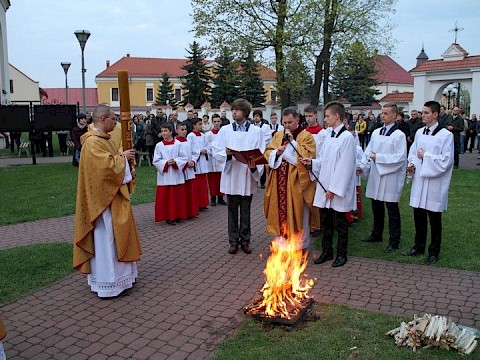 Zdjęcie 5 z 80