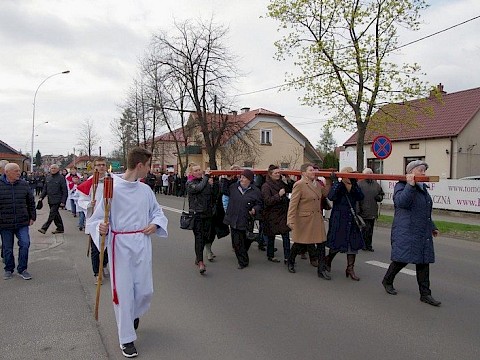 Zdjęcie 6 z 38