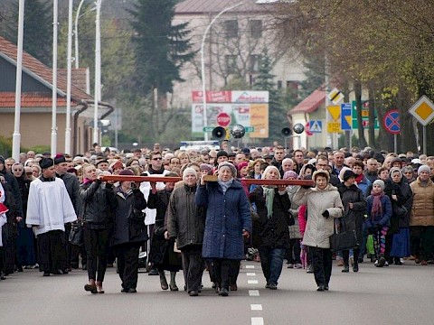 Zdjęcie 7 z 38