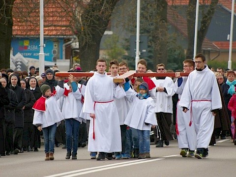 Zdjęcie 11 z 38
