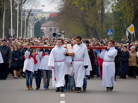 Zdjęcie 13 z 38