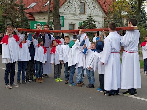 Zdjęcie 15 z 38