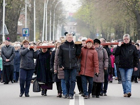 Zdjęcie 17 z 38
