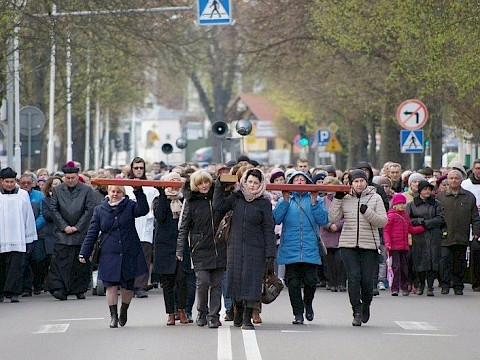 Zdjęcie 22 z 38